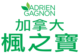 header-logo Adrien Gagnon